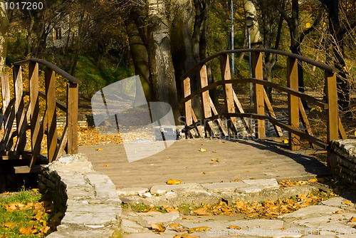 Image of Autumn in the park