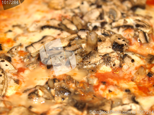 Image of Mushroom Pizza