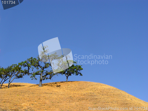 Image of California hills and trees