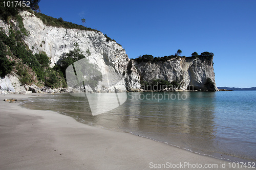 Image of New Zealand beach