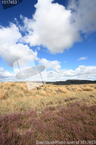 Image of Waikato