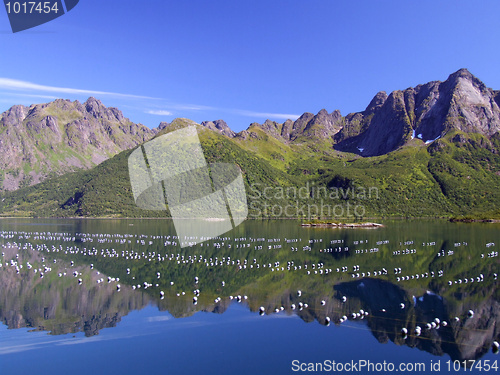 Image of Lofoten