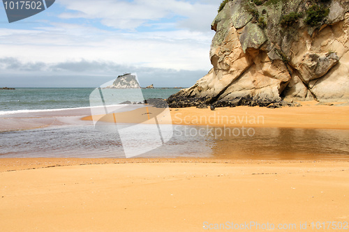 Image of New Zealand