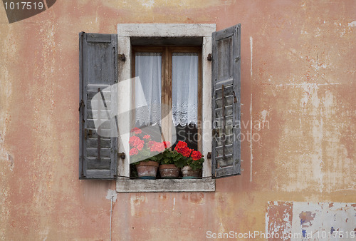 Image of Window with red geranium