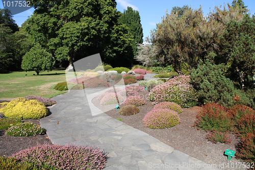 Image of Botanic Gardens