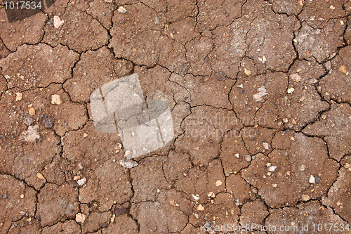 Image of Dry cracked mud