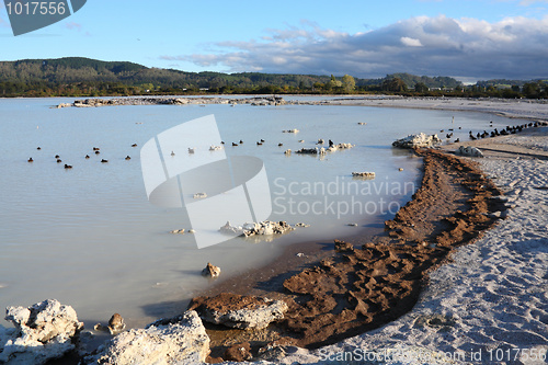 Image of New Zealand lake