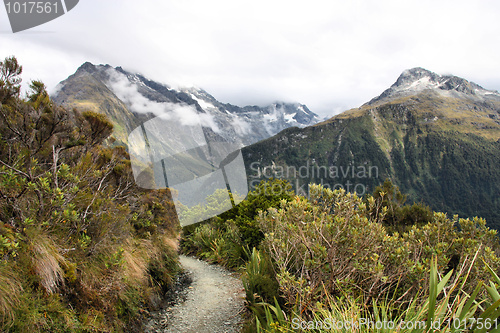 Image of New Zealand