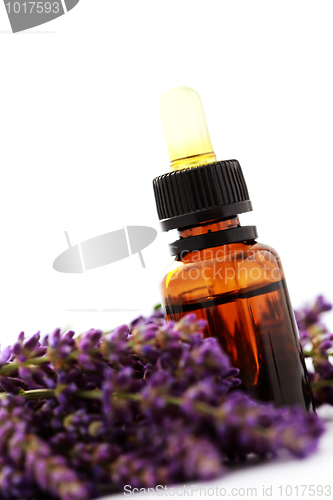 Image of lavender essential oil