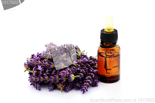 Image of lavender essential oil