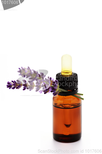 Image of lavender essential oil