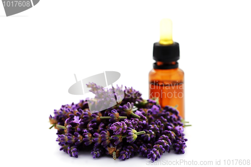 Image of lavender essential oil
