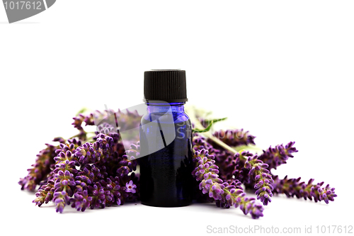 Image of lavender essential oil