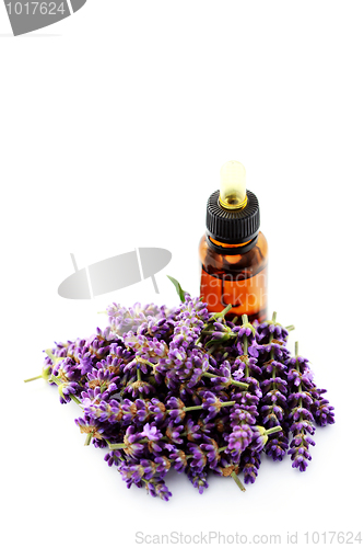 Image of lavender essential oil