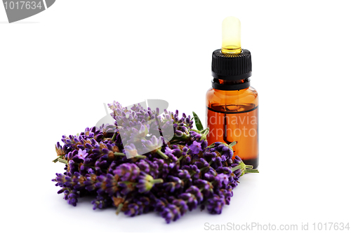 Image of lavender essential oil