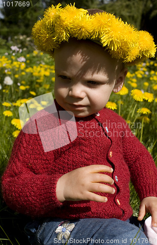 Image of Toddler with dandelion wreath