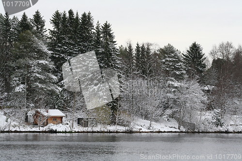 Image of First Snow