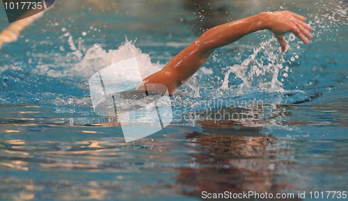 Image of Freestyle Swimming