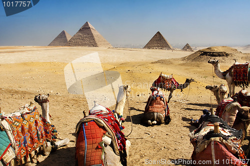 Image of giza pyramids, cairo, egypt