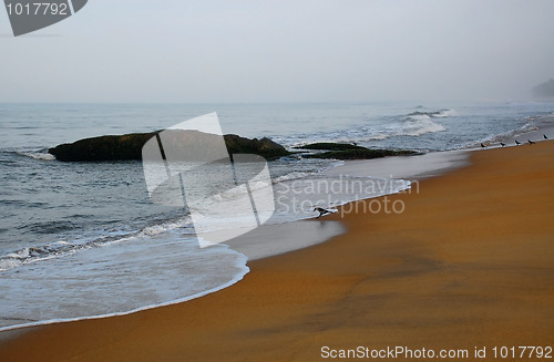 Image of Foggy Morning on the Beach