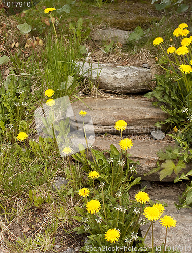 Image of Garden steps