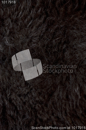 Image of Black wool