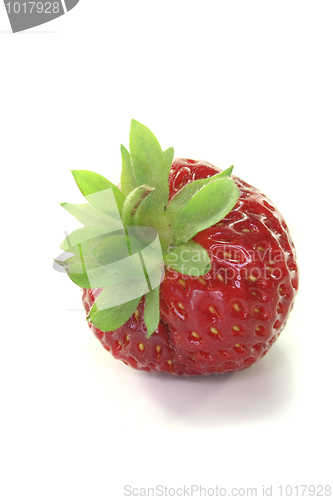 Image of Strawberry