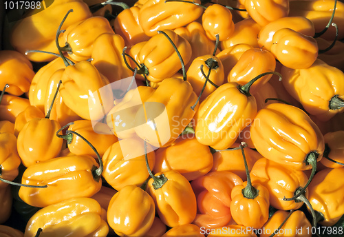 Image of peperoni
