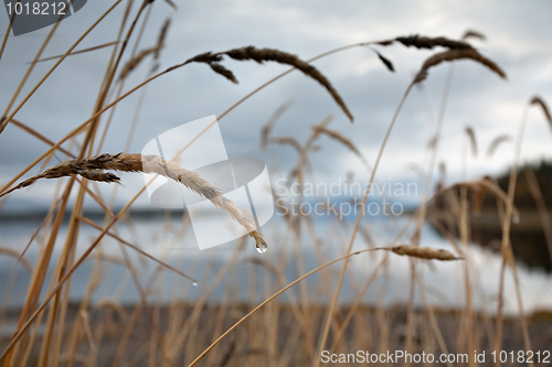 Image of tear of fall