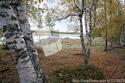 Image of autumn landscape