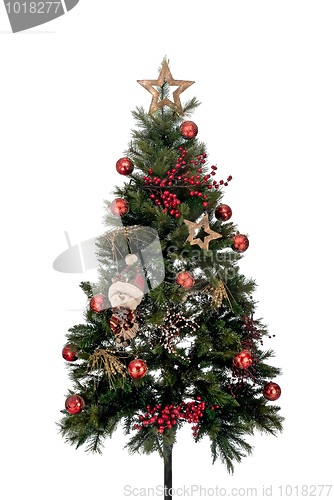 Image of Christmas tree