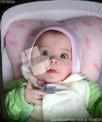 Image of newborn baby portrait