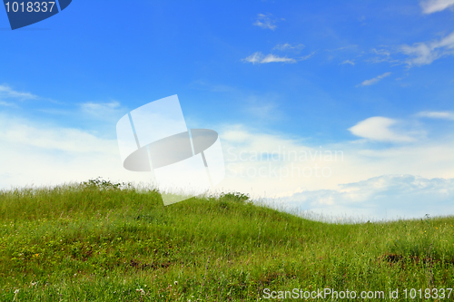 Image of green grass hill