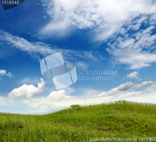 Image of green grass hill