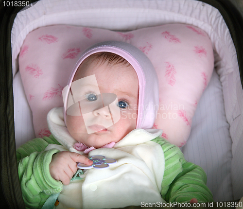 Image of newborn baby portrait