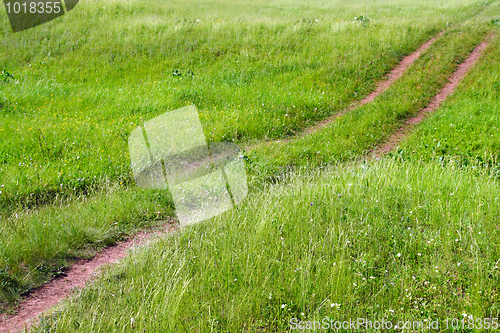 Image of track on green meadow
