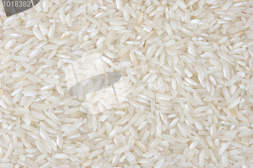 Image of Rice