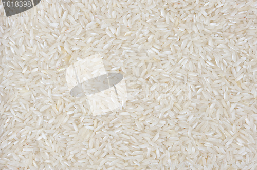 Image of Rice