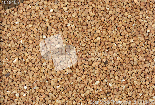 Image of Buckwheat