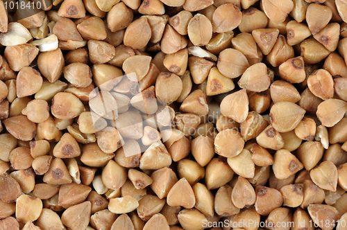 Image of Buckwheat
