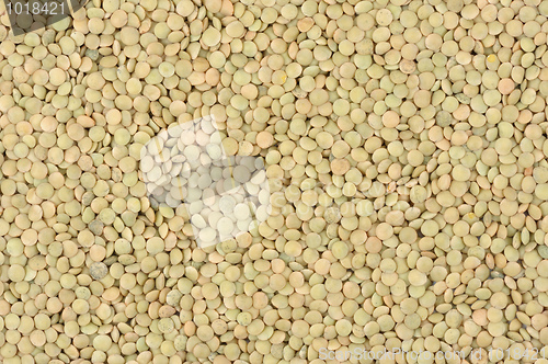 Image of Lentils