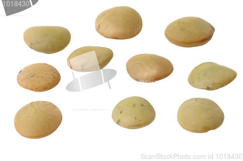 Image of Lentils