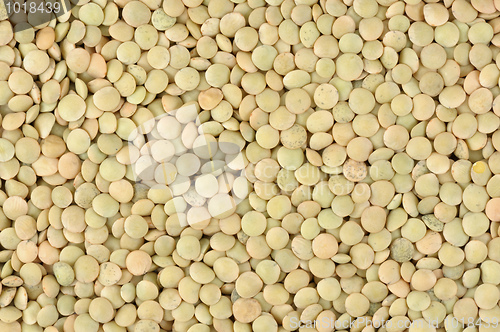 Image of Lentils