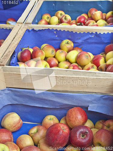 Image of apples