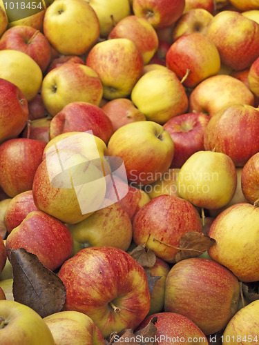 Image of apples