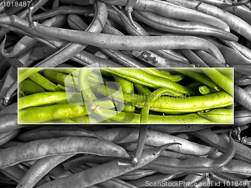 Image of green beans