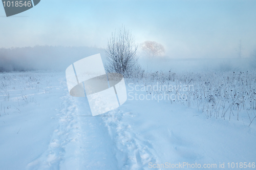 Image of Frosty winter morning