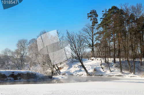 Image of Frosty winter morning