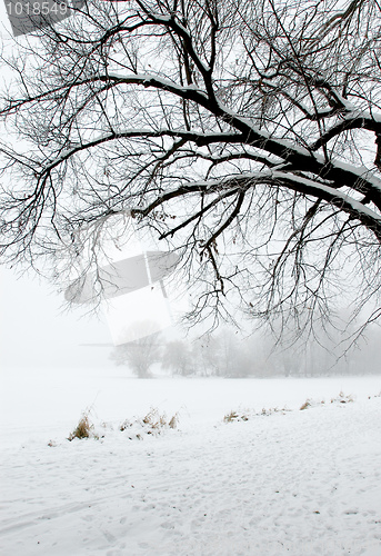 Image of Winter landscape