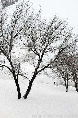 Image of Winter landscape